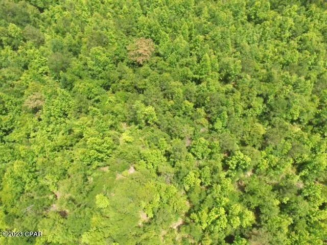 $297,000 | 12 Northwest Bristol, Bristol, FL 32321