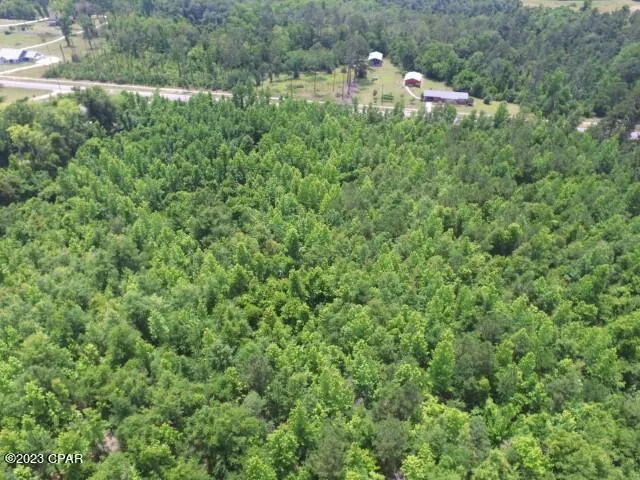 $297,000 | 12 Northwest Bristol, Bristol, FL 32321