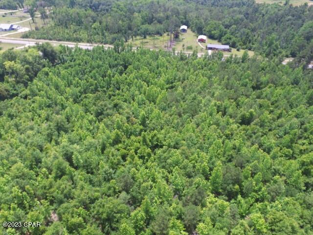 12 Northwest Bristol Bristol, FL 32321 - Photo 17 of 18