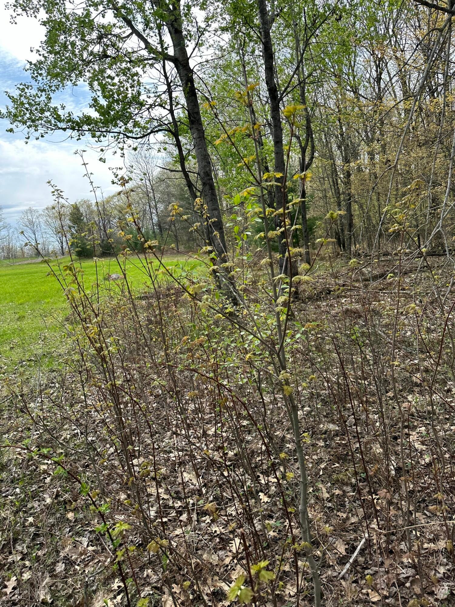 12424 Nickerson Valley Road Atlanta, MI 49709 - Photo 13 of 18 Gallery Image 13