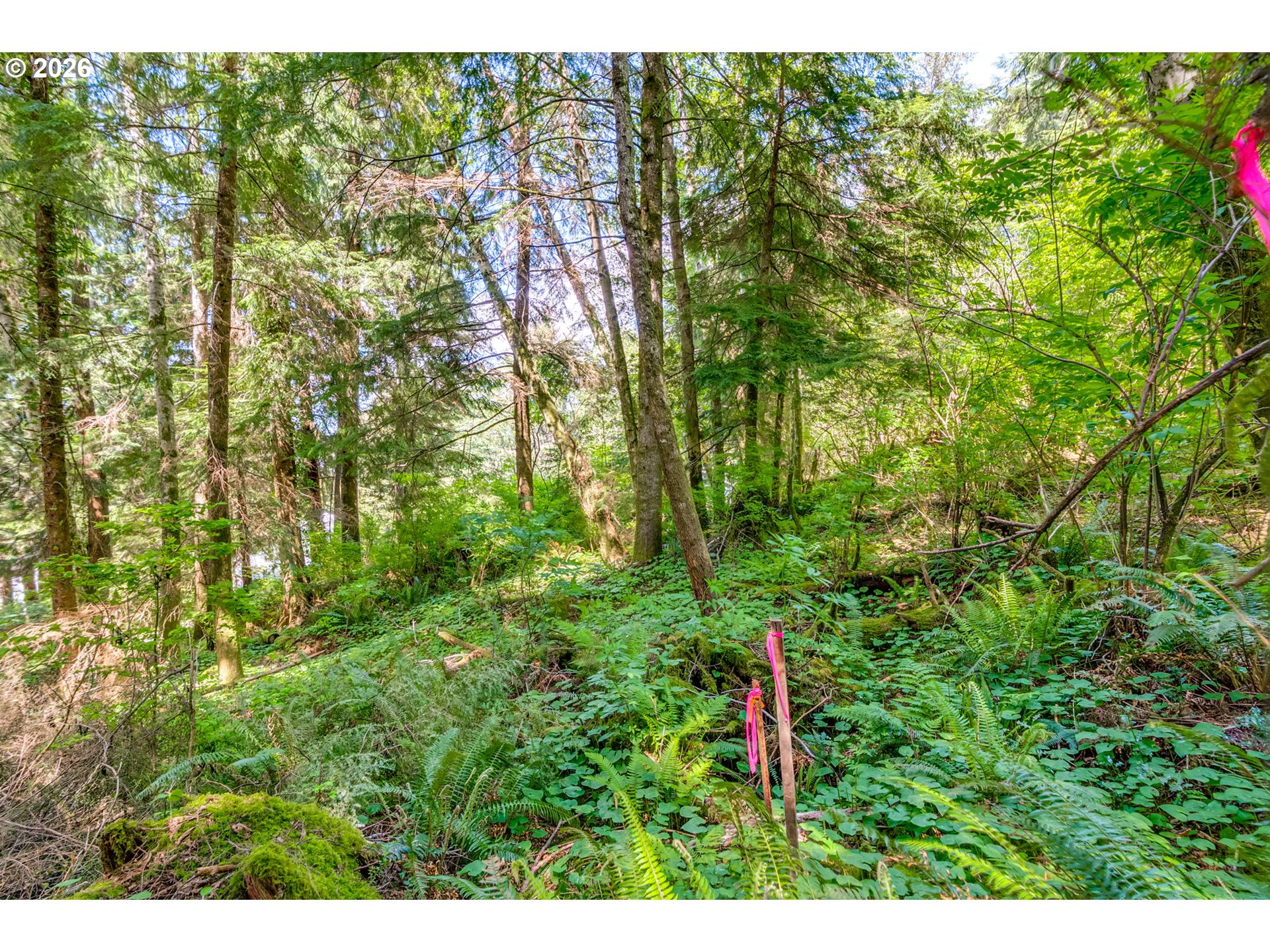 9 Block Nehalem, OR 97131 - Photo 35 of 36