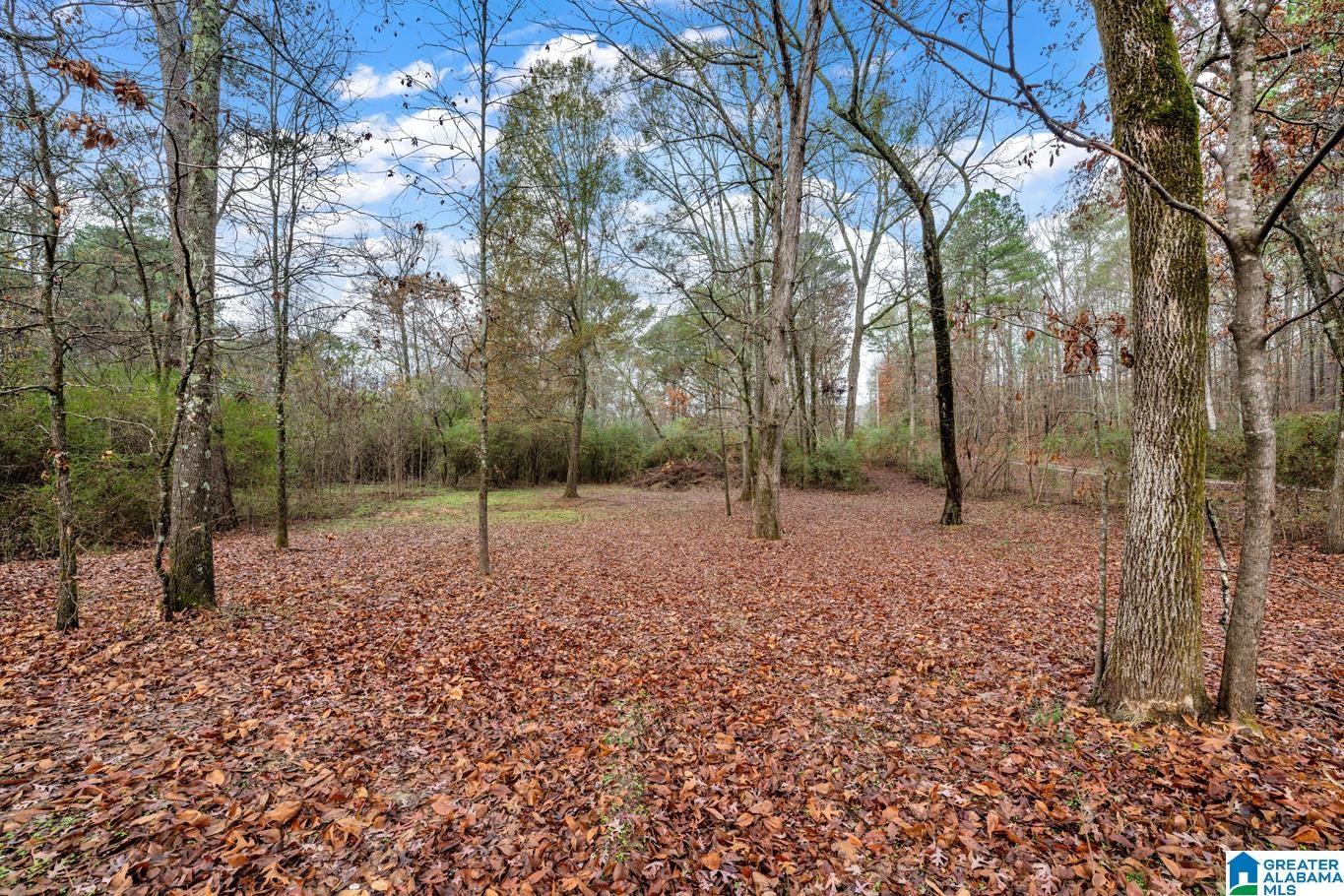 9722 Corner School Road Warrior, AL 35180 - Photo 31 of 43