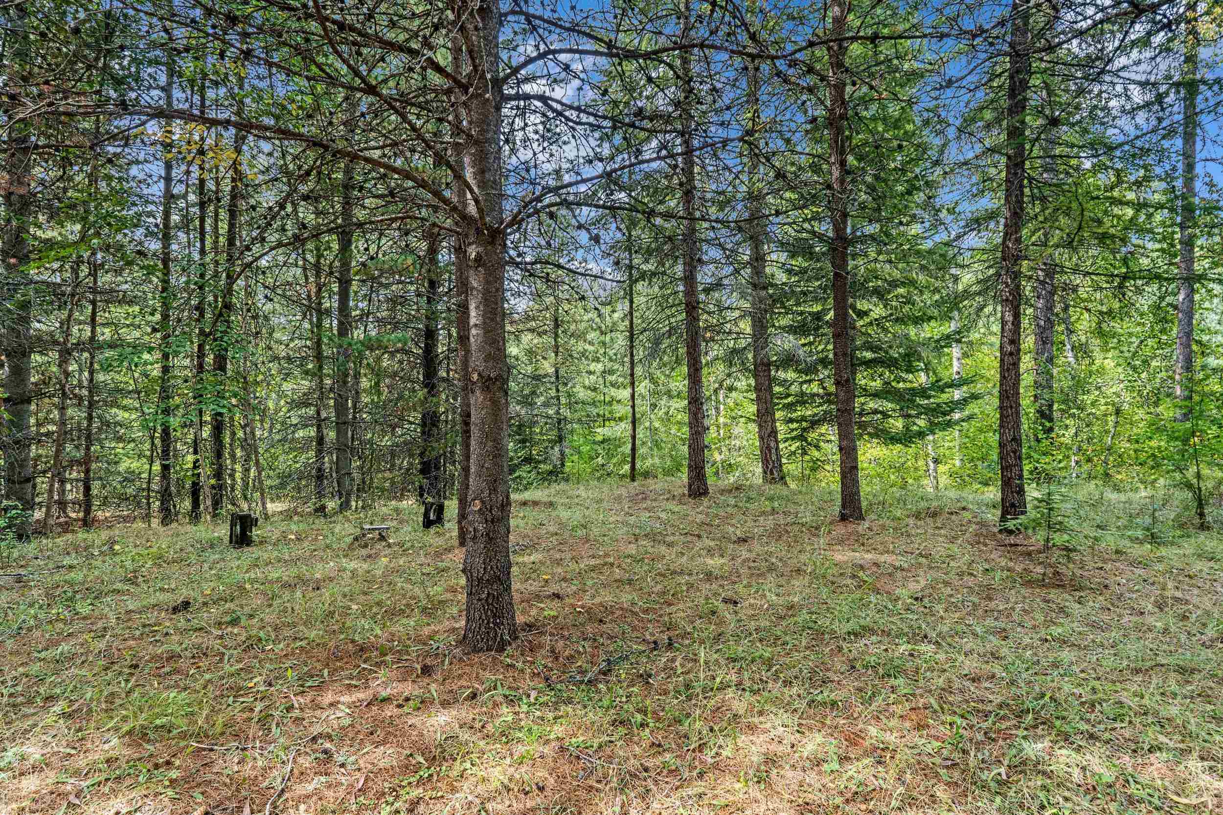 452 Catamount Ridge Lane Ione, WA 99139 - Photo 21 of 47 Gallery Image 21