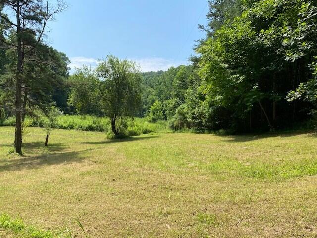 2389 Trace Branch Road Livingston, KY 40445 - Photo 5 of 23 5