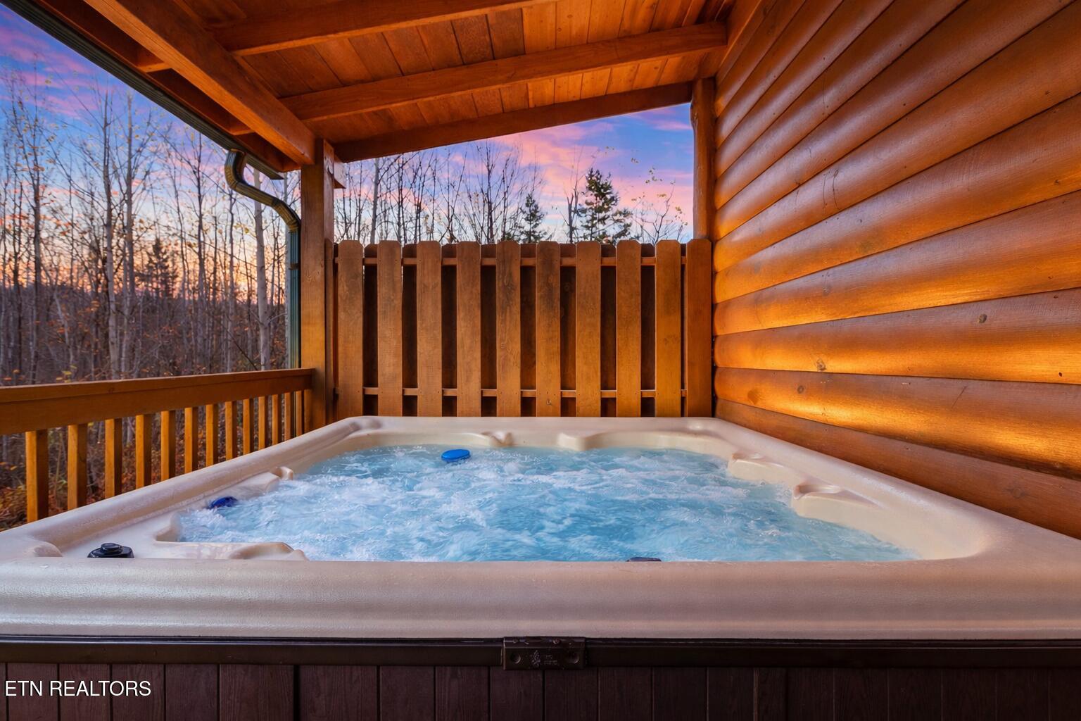 220 Amet Way Cosby, TN 37722 - Photo 3 of 29 Hot Tub staged for 220 Amet Way for sale