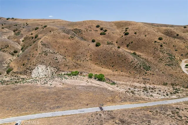 a view of a dry yard