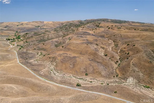 a view of a dry yard with green space