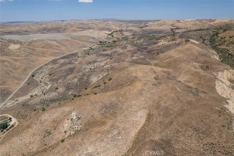 a view of a garden with a tree