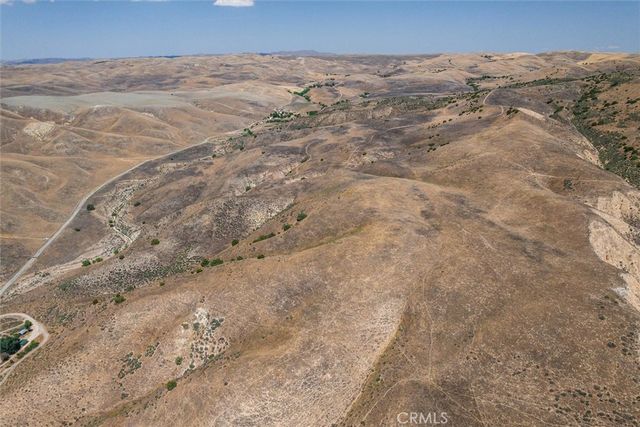 a view of a garden with a tree