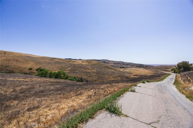 a view of a yard with trees