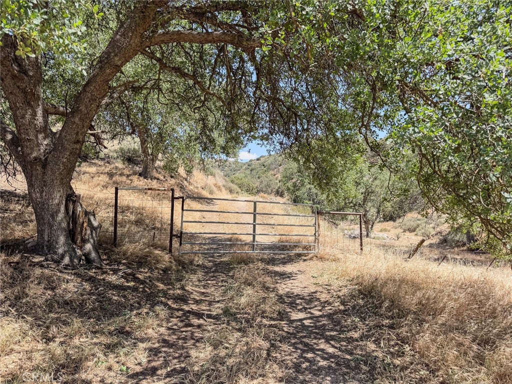 0 Gillis Cyn Road Shandon, CA 93461 - Photo 9 of 53 a view of a yard with trees