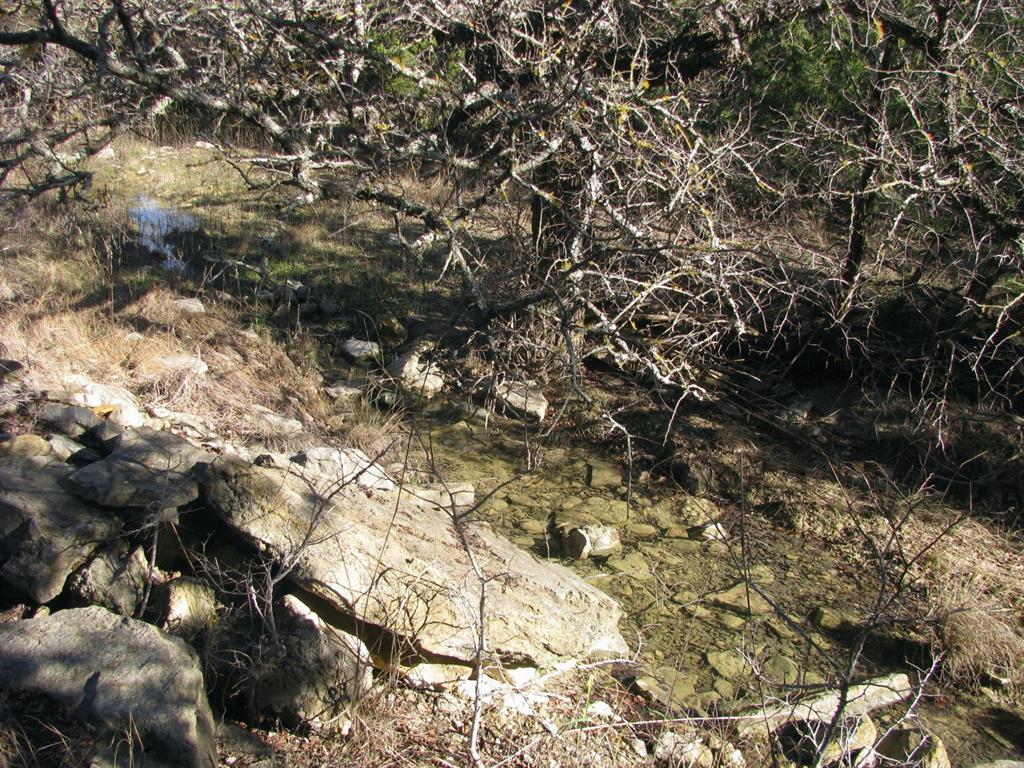 Lot 3-ph County Road 421 Evant, TX 76525 - Photo 11 of 27