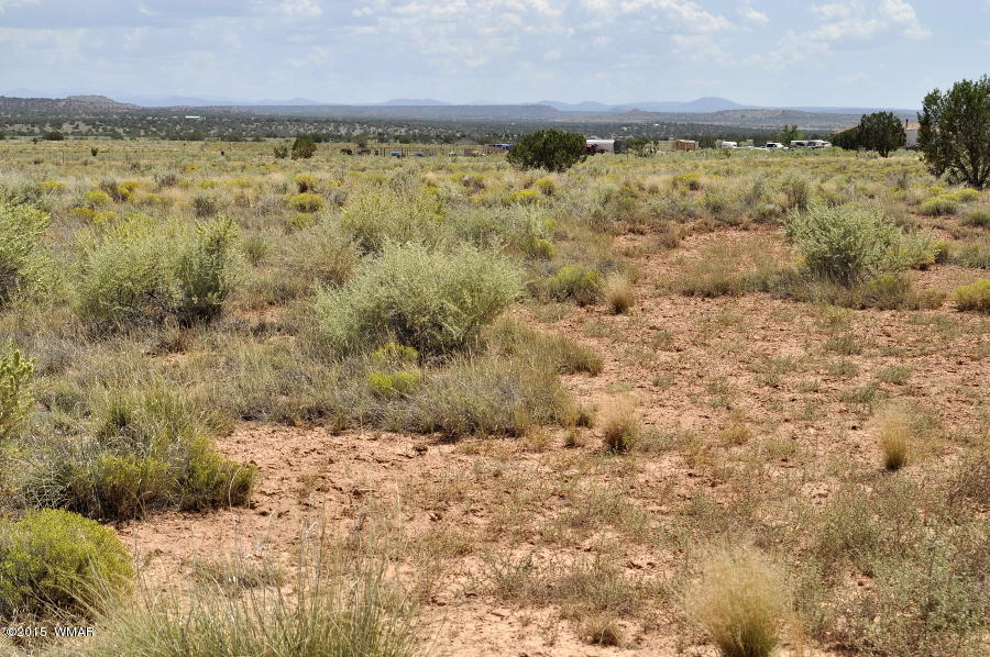 Lot 26 Antelope Ridge Ranch Snowflake, AZ 85937 - Photo 8 of 9 a view of a yard