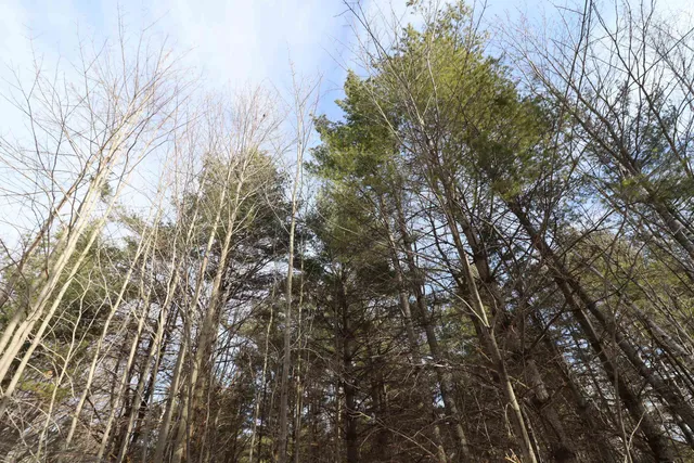 $69,900 | 853-xx Pine Crest, Bayfield, WI 54814