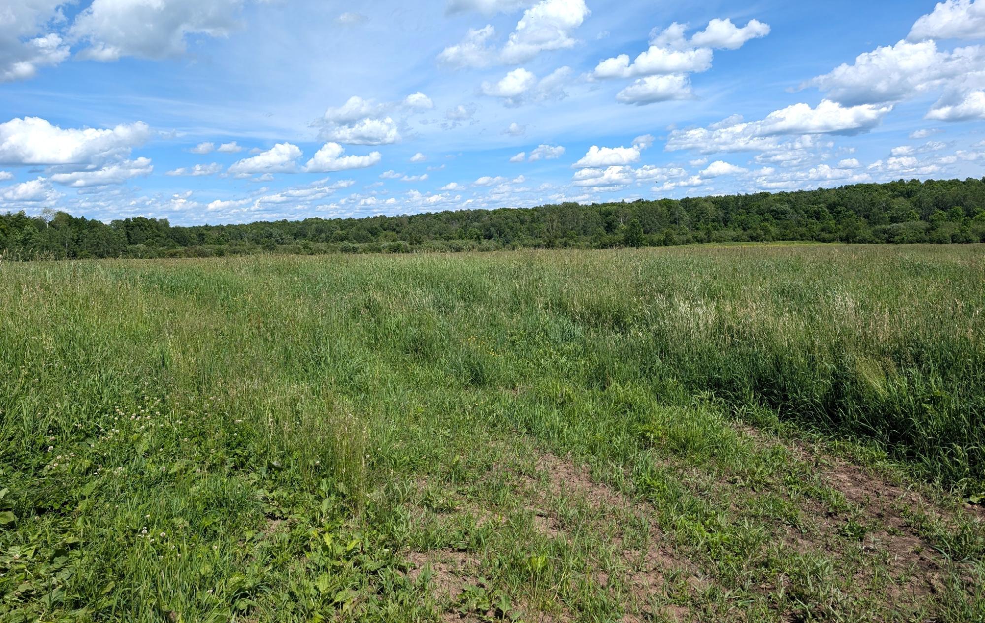 N4896 Rusk Road Hawkins, WI 54530 - Photo 29 of 36