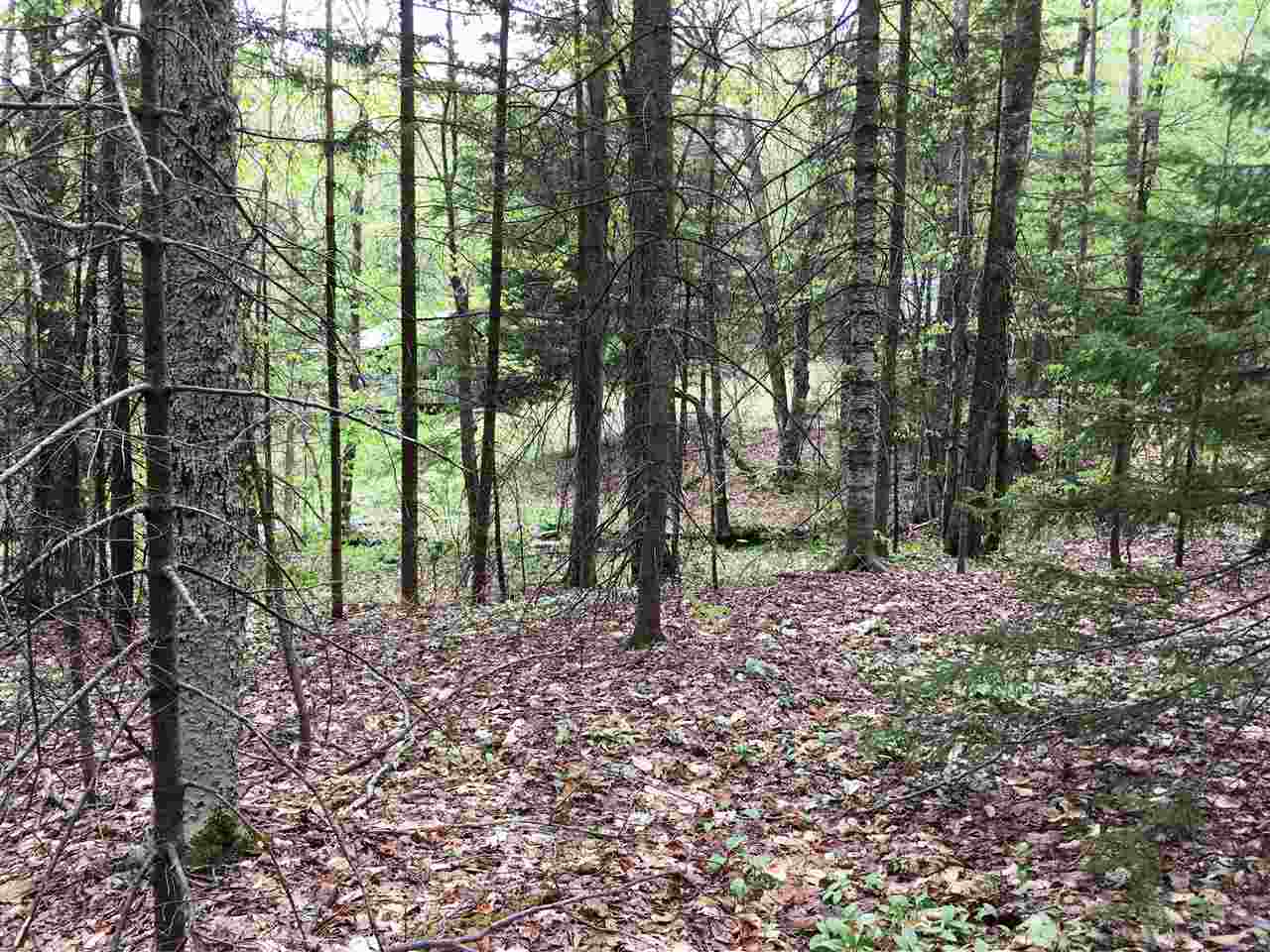 0 Route 8, Unit 51 Readsboro, VT 05350 - Photo 2 of 10 Gallery Image 2
