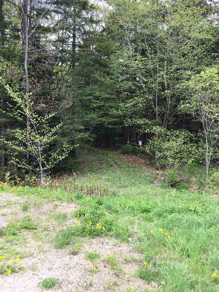 0 Route 8, Unit 51 Readsboro, VT 05350 - Photo 7 of 10 Gallery Image 7