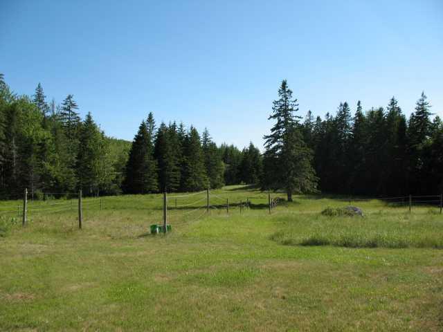 6 Gray Farm Road Mount Desert, ME 04660 - Photo 6 of 19 Land.