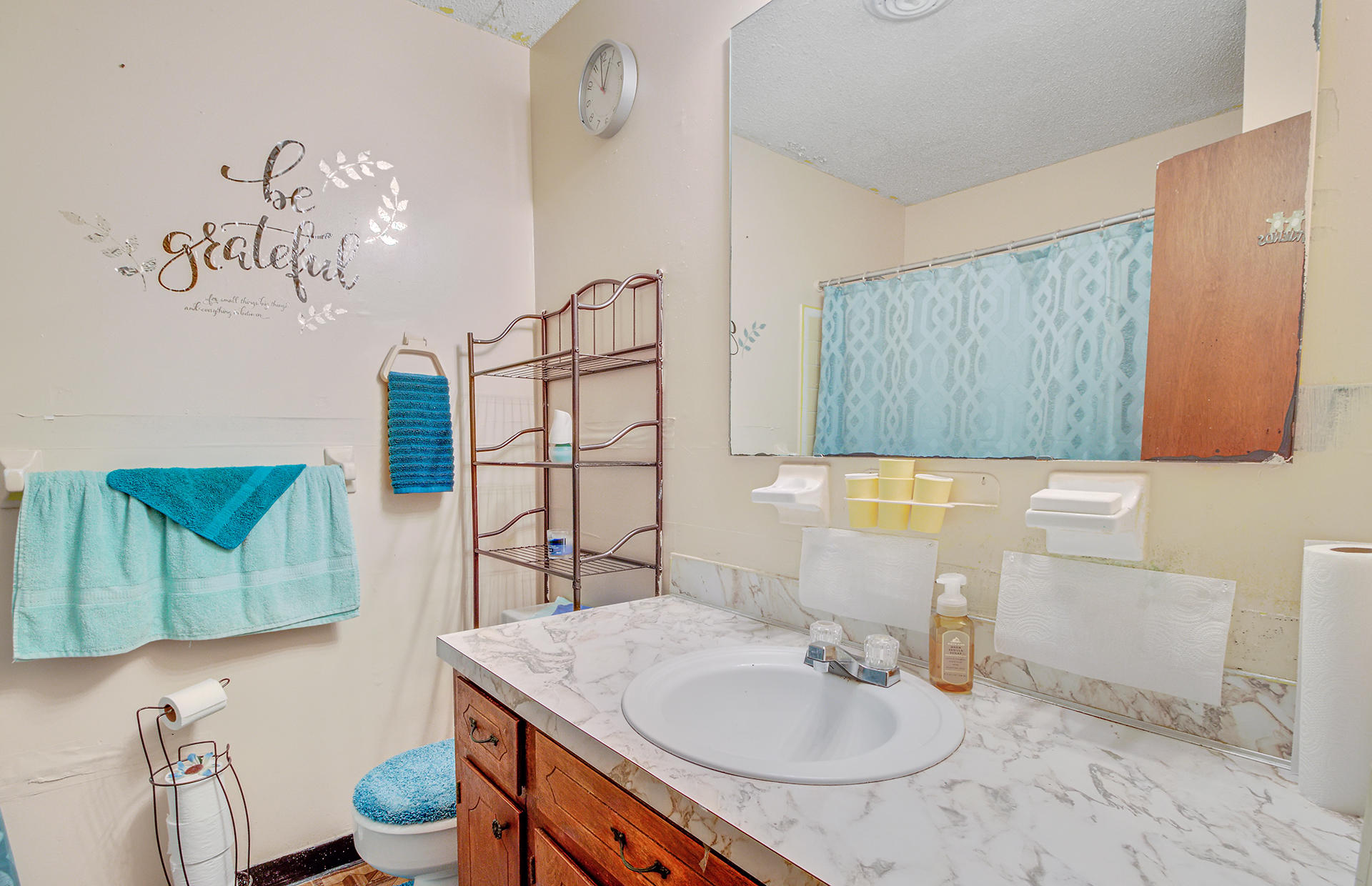 14 Raritan Road Goose Creek, SC 29445 - Photo 20 of 25 20