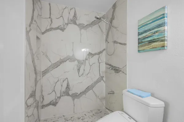 a white toilet sitting next to a shower curtain