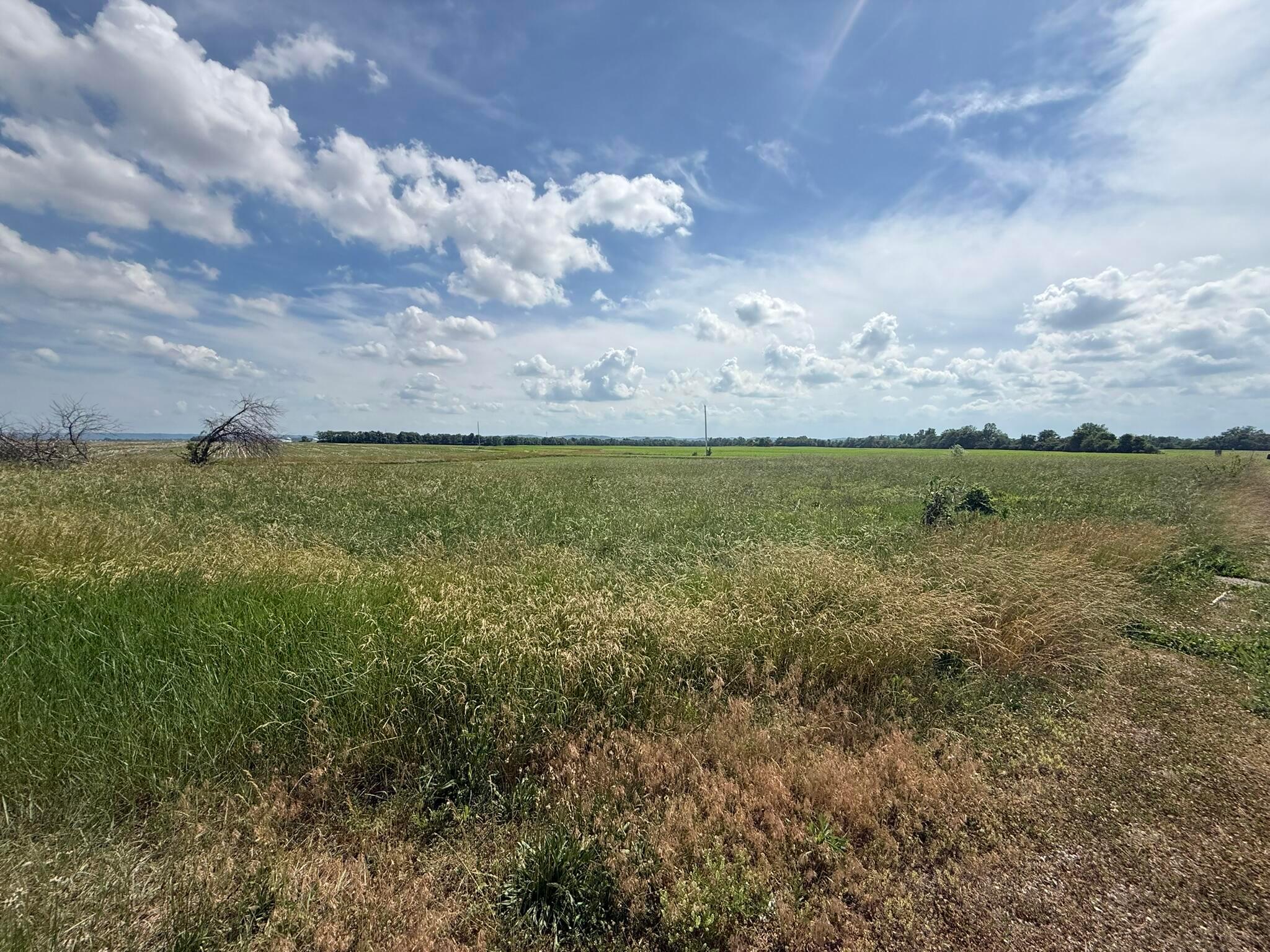 498 Junk Road Clarksburg, OH 43115 - Photo 4 of 14