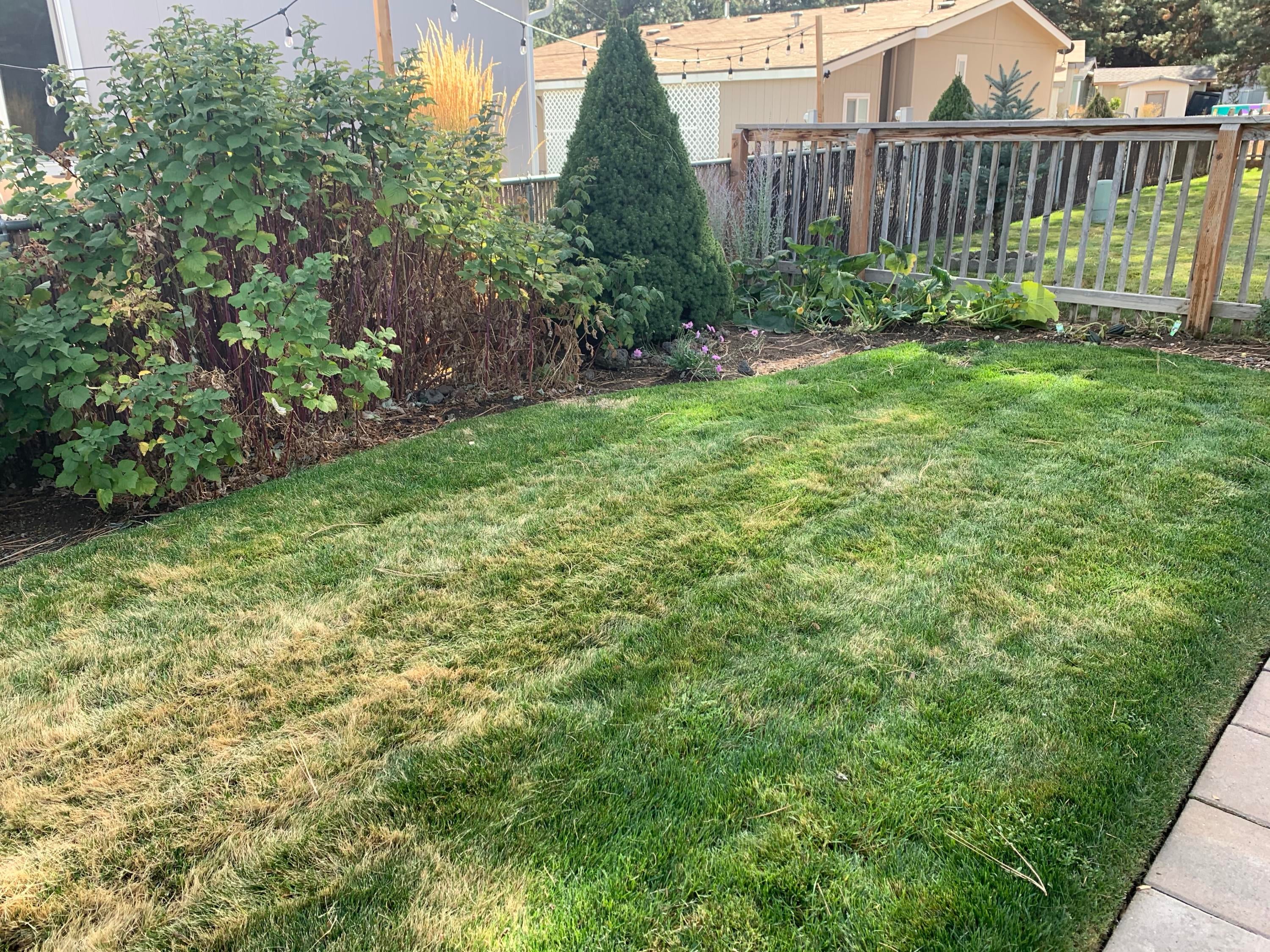 61000 Brosterhous Road, Unit 18 Bend, OR 97702 - Photo 18 of 19 Back lawn, with sprinkler system