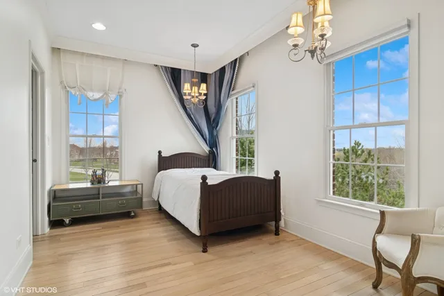 a view of a backyard with plants and garden