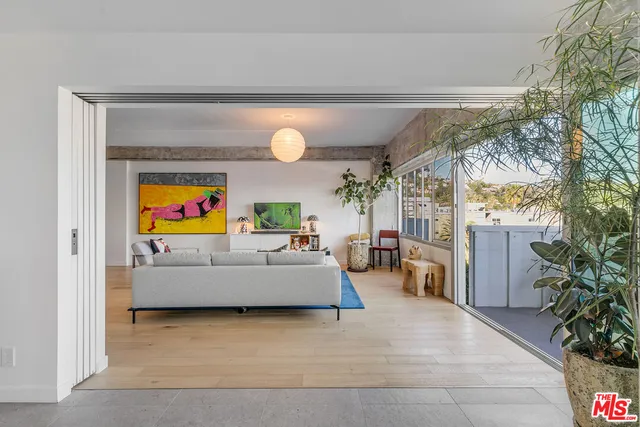 a living room with furniture and a potted plant