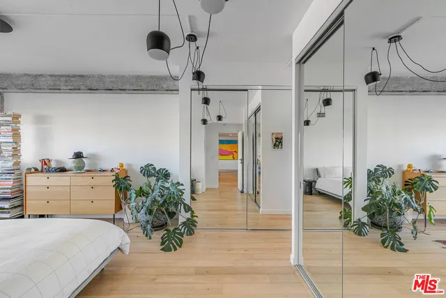 a hallway with a potted plant
