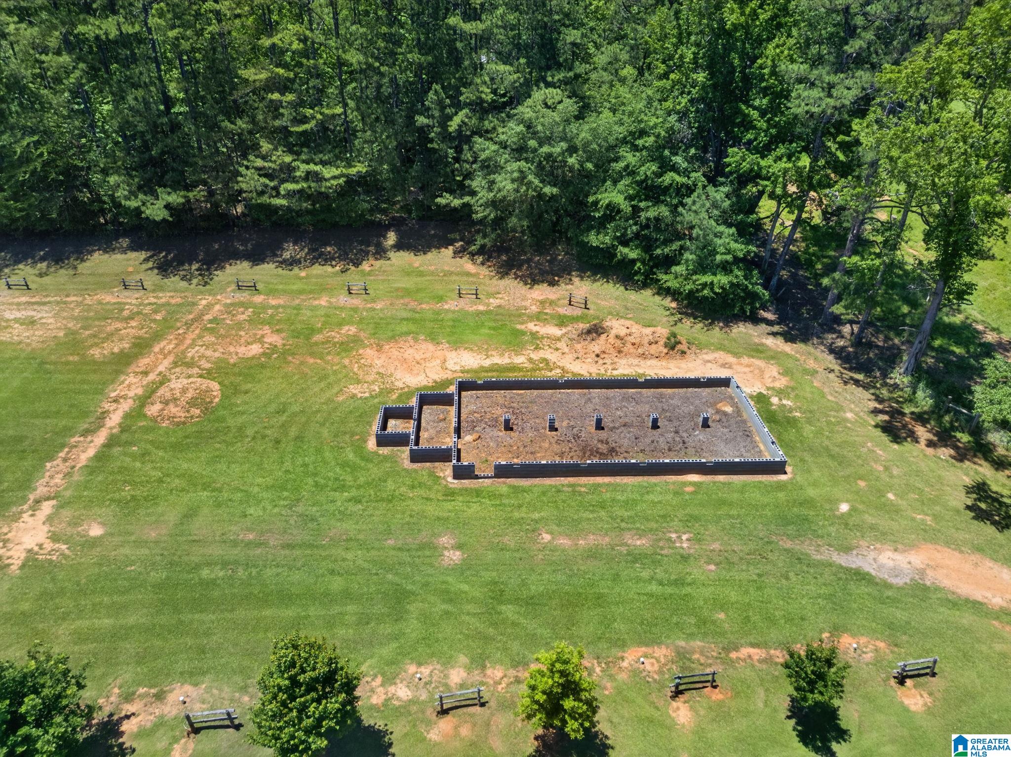 3463 County Road 3 Delta, AL 36258 - Photo 8 of 100