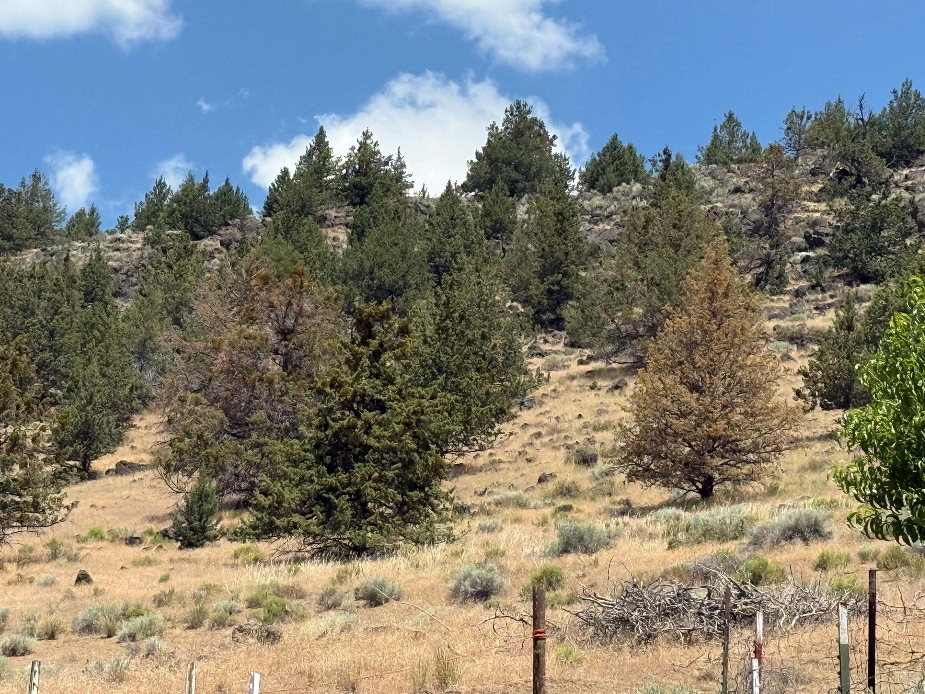 17550 Maupin Road Malin, OR 97632 - Photo 60 of 62 Gallery Image 60