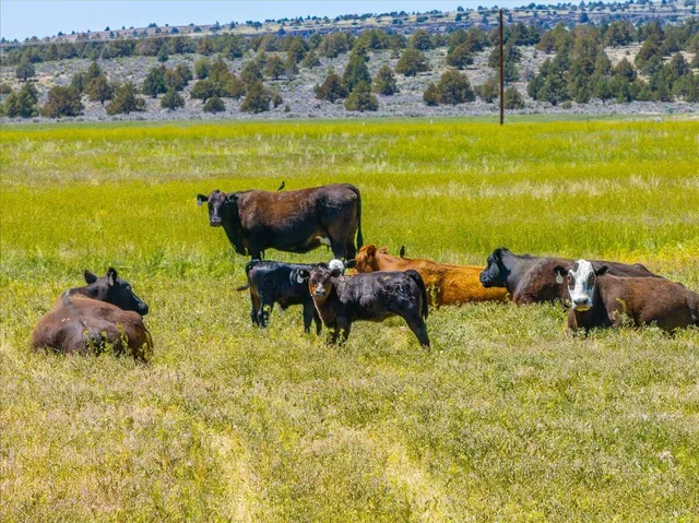 $2,850,000 | 478-505 Laura Lane, Litchfield, CA 96117