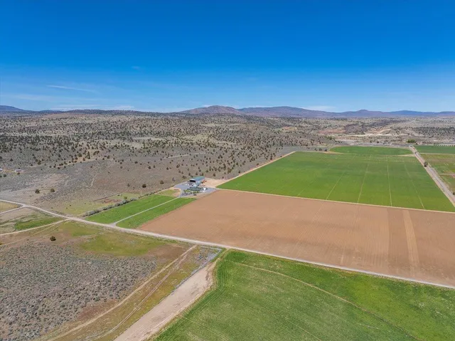 a living room with fireplace furniture and a flat screen tv