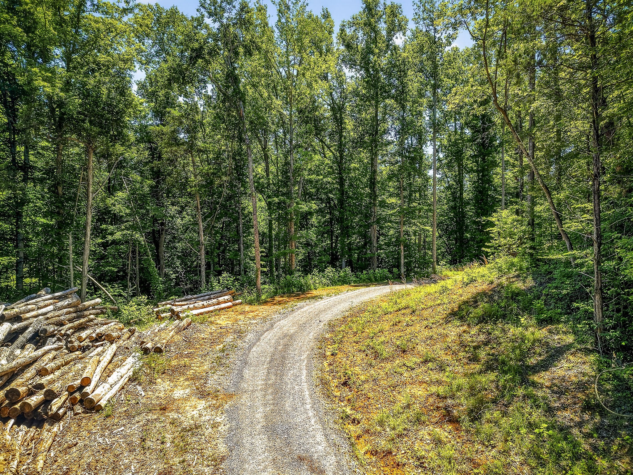 359 Allen Sells Lane Alpine, TN 38543 - Photo 59 of 71
