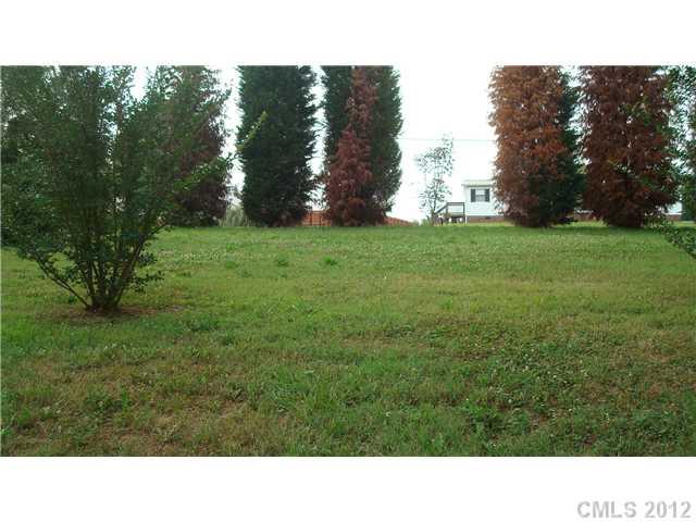 561 Bethlehem Road Statesville, NC 28677 - Photo 3 of 14 a black and white photo of a park