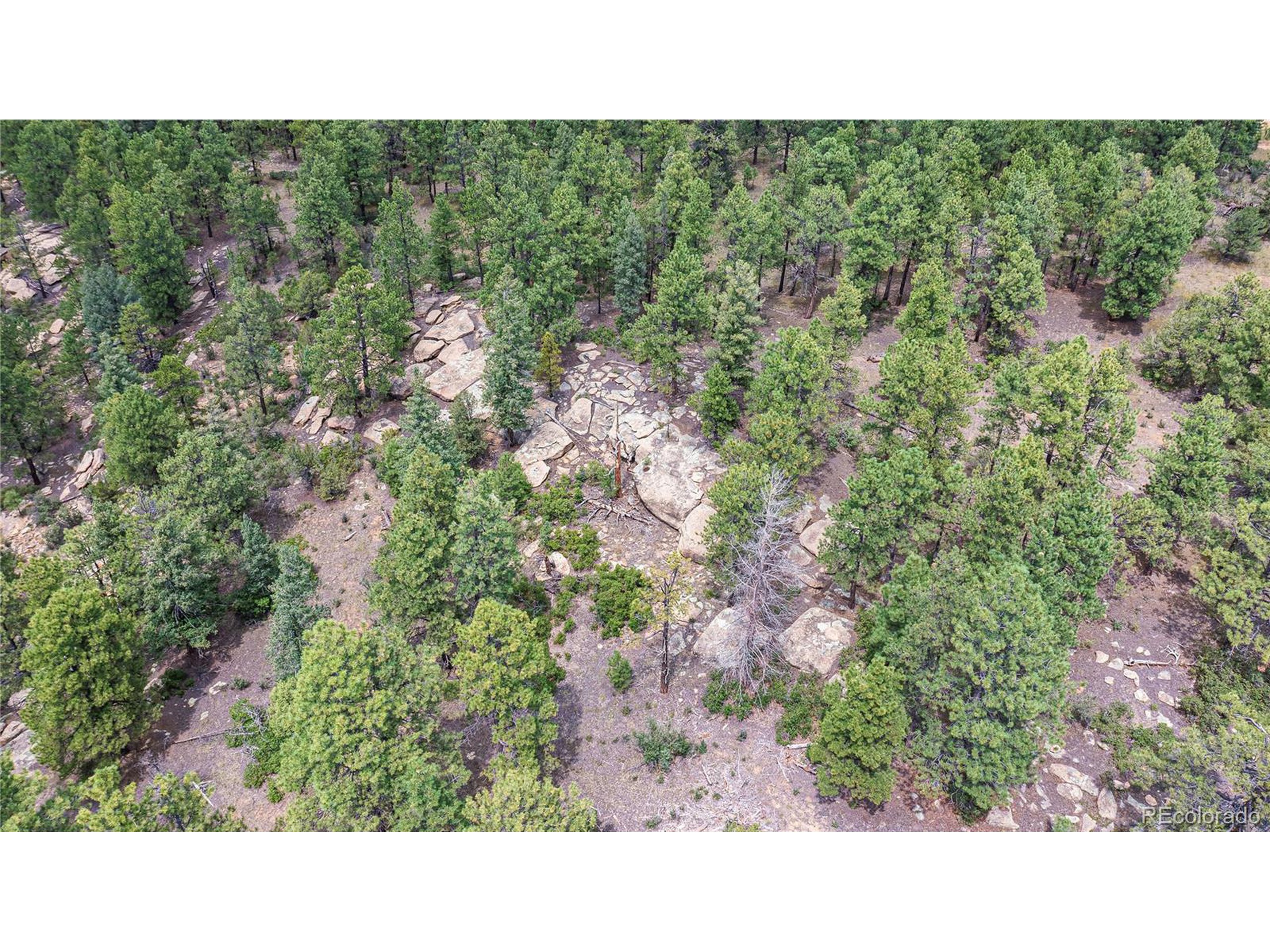 Escondido Road Weston, CO 81091 - Photo 14 of 48 a black and white photo of a house