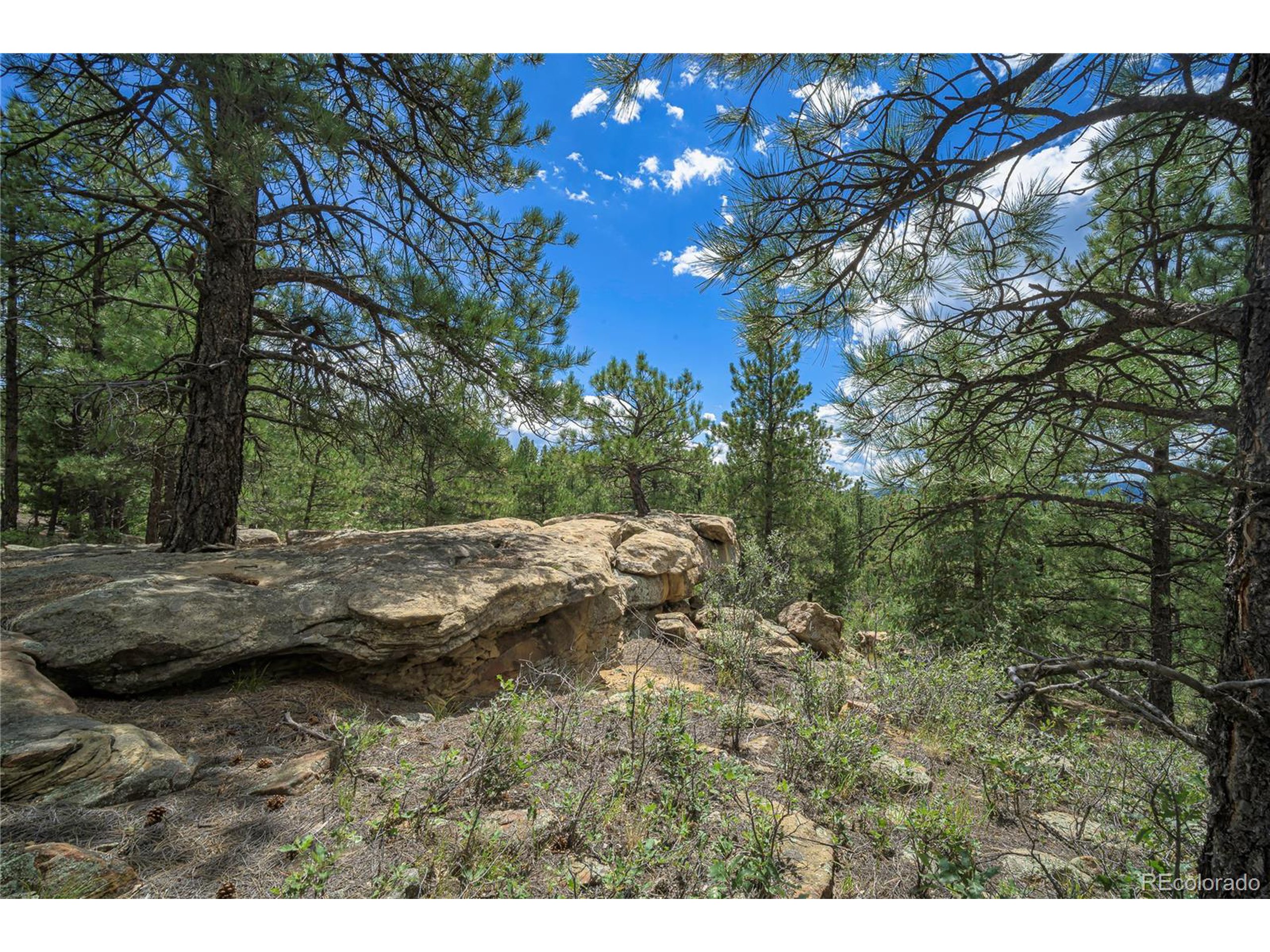 Escondido Road Weston, CO 81091 - Photo 2 of 48 a view of a dry yard with trees