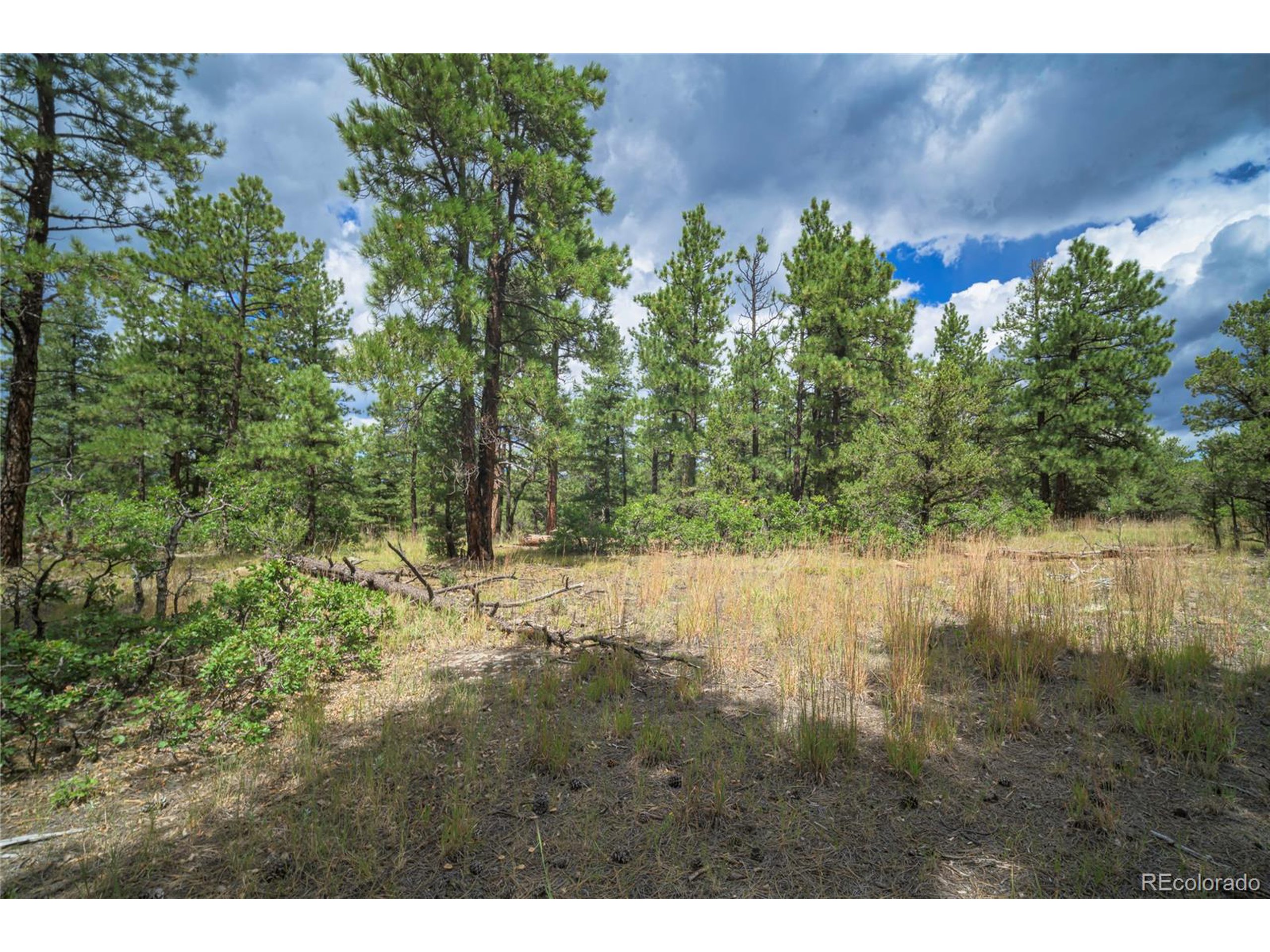 Escondido Road Weston, CO 81091 - Photo 22 of 48 a view of a lake with mountain