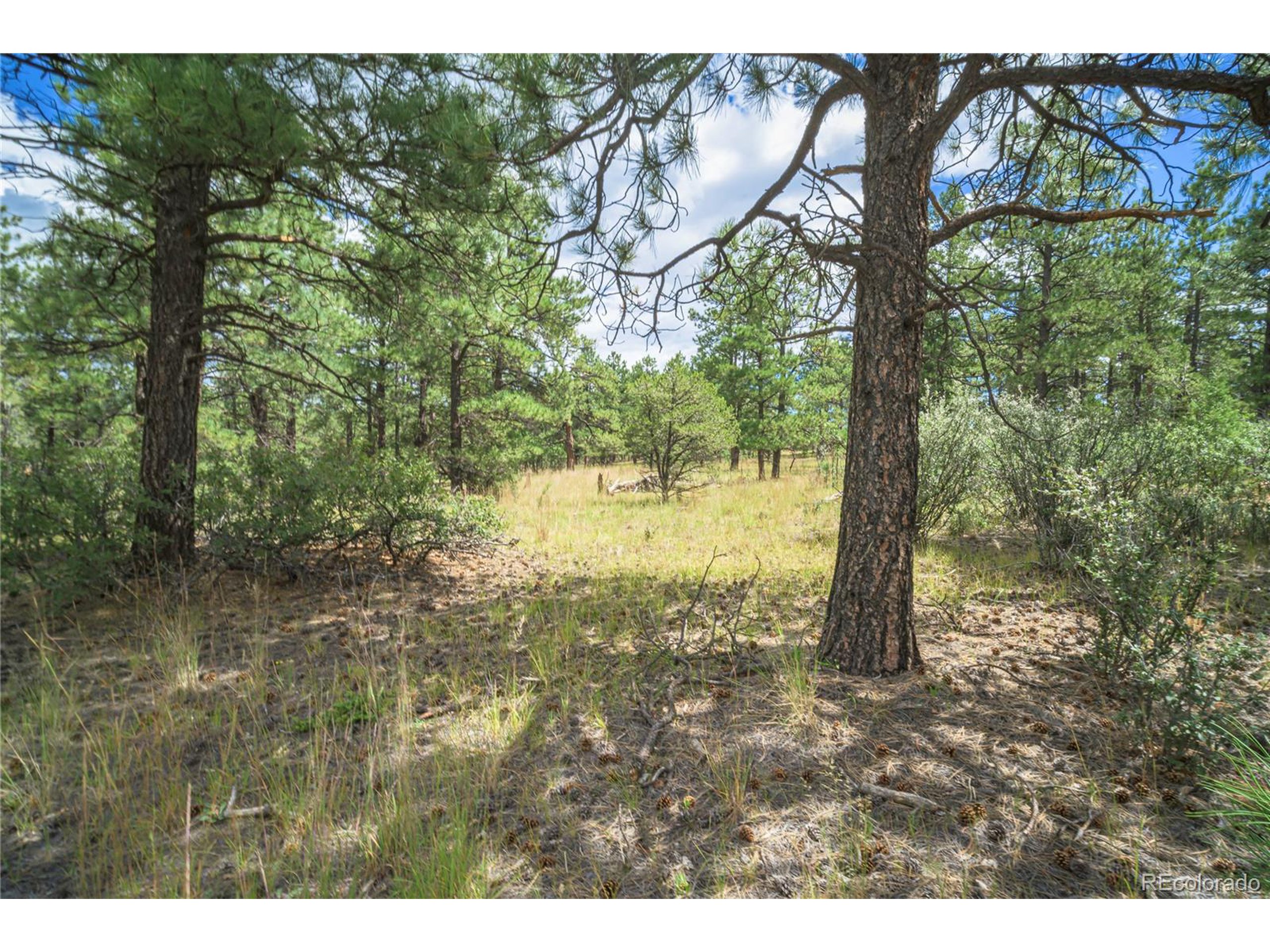 Escondido Road Weston, CO 81091 - Photo 25 of 48 a view of outdoor space and yard