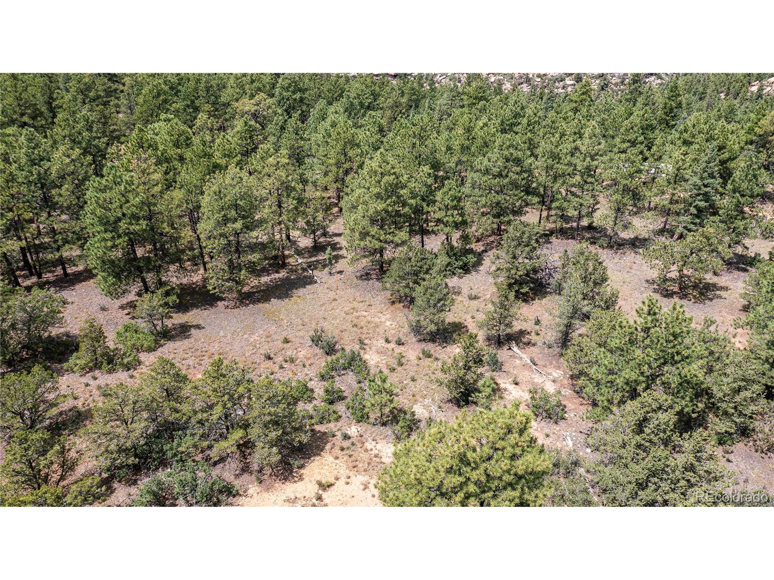 Escondido Road Weston, CO 81091 - Photo 30 of 48 a open area of a house with a yard