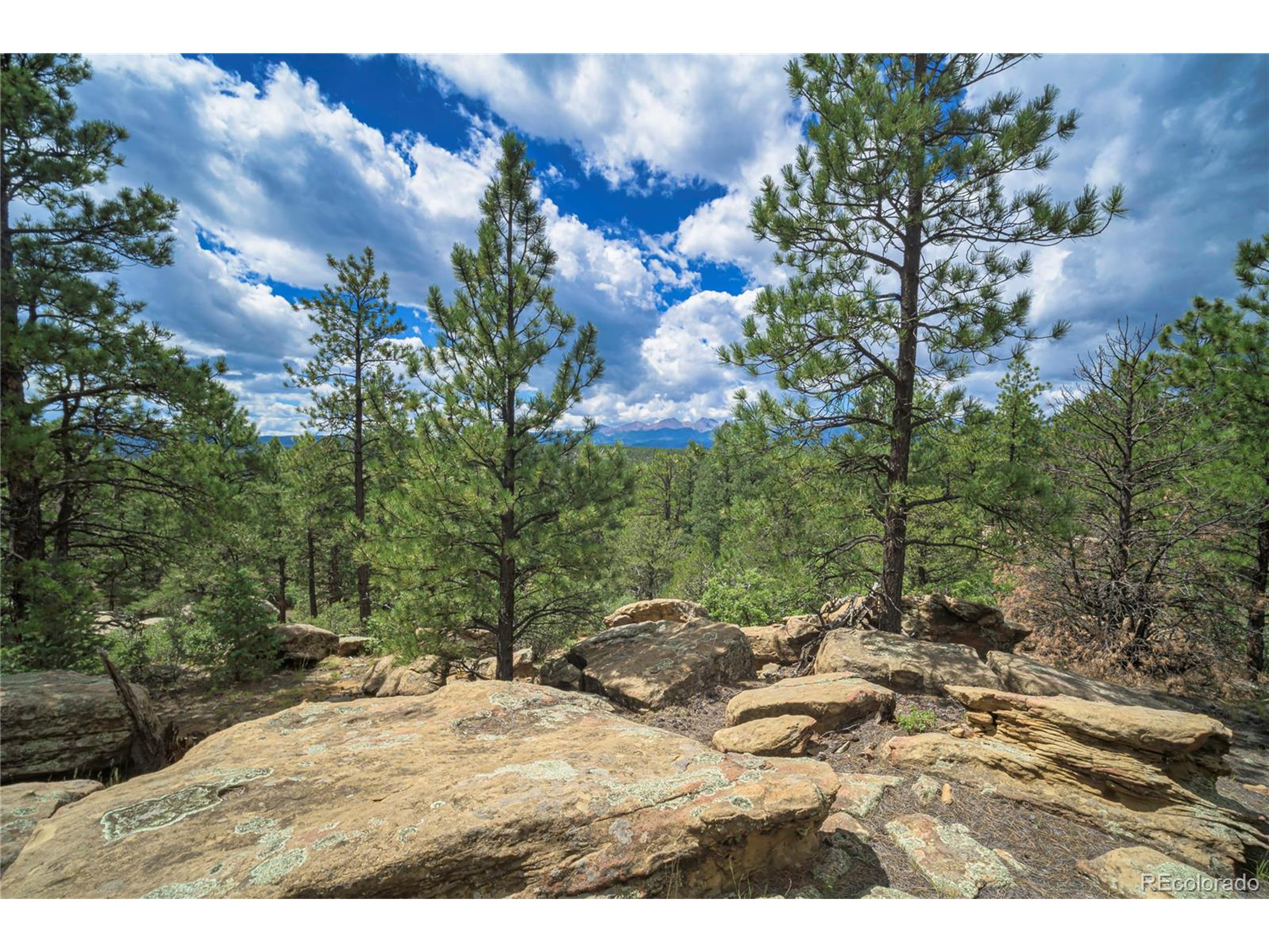 Escondido Road Weston, CO 81091 - Photo 3 of 48 a backyard of a house with lots of green space