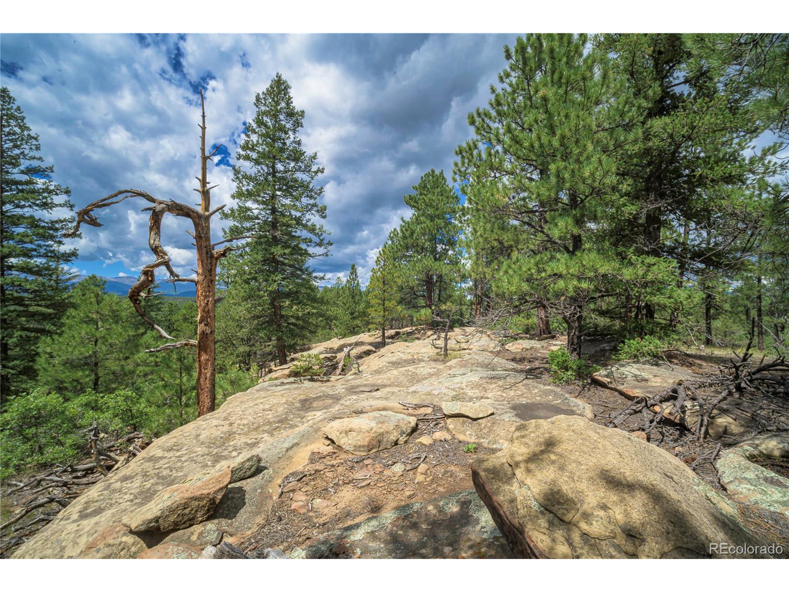 Escondido Road Weston, CO 81091 - Photo 32 of 48 a view of a backyard of the house