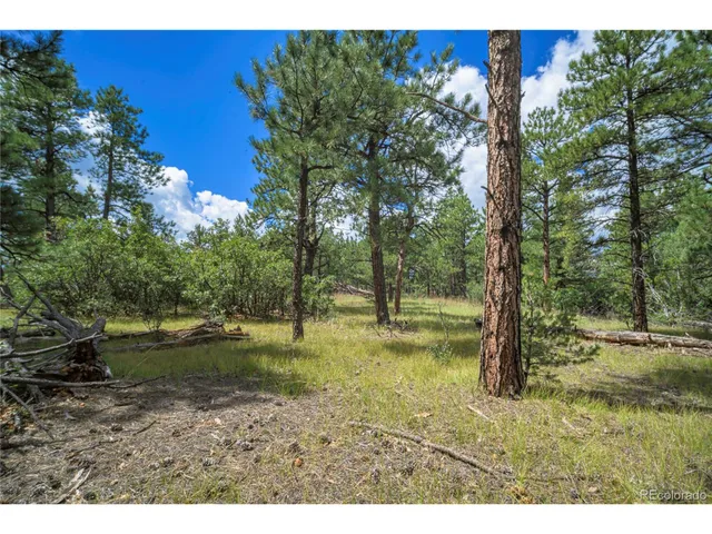 a backyard of a house with a yard and outdoor seating