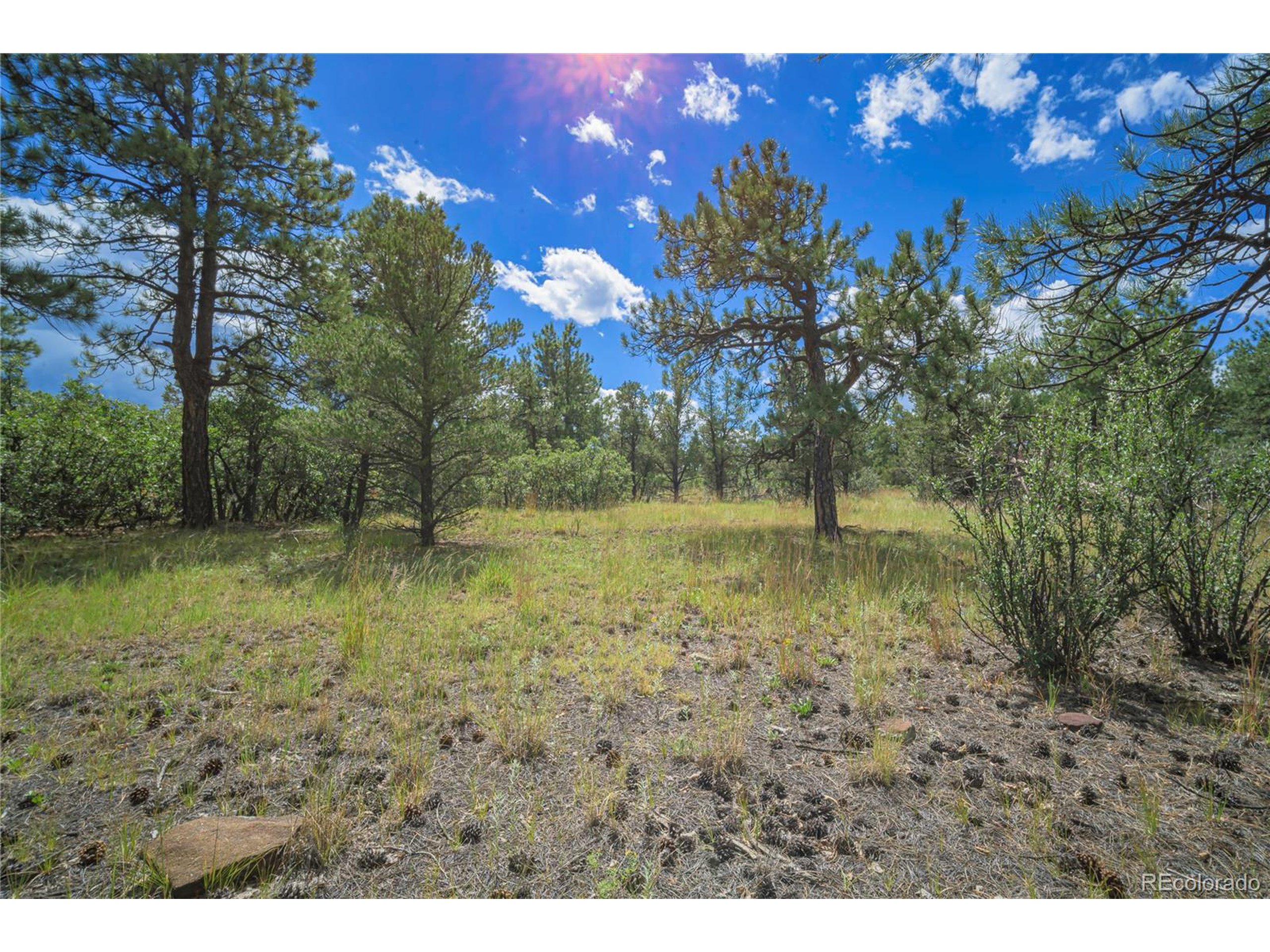 Escondido Road Weston, CO 81091 - Photo 37 of 48 a view of outdoor space with trees all around