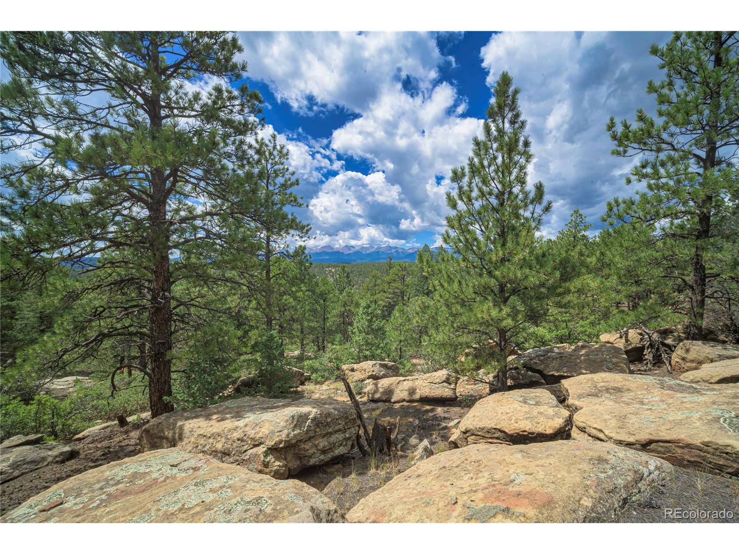 Escondido Road Weston, CO 81091 - Photo 4 of 48 a view of a backyard with sitting area