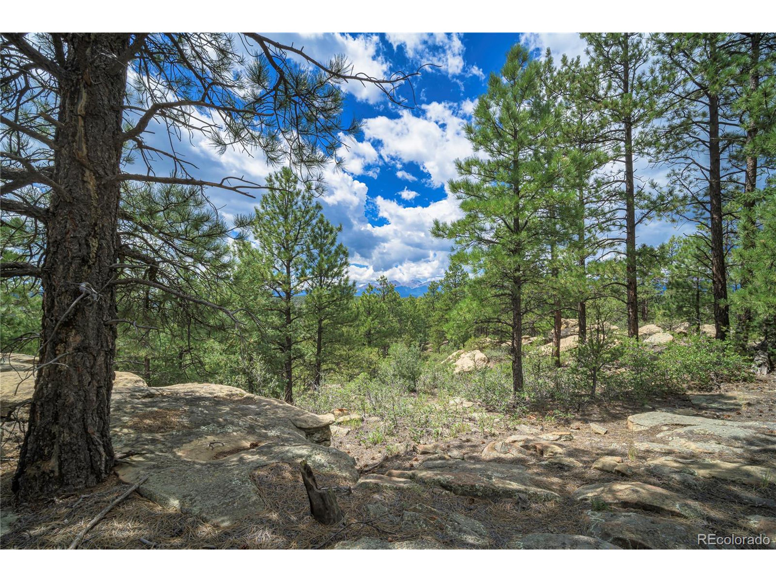 Escondido Road Weston, CO 81091 - Photo 44 of 48 a view of outdoor space and yard