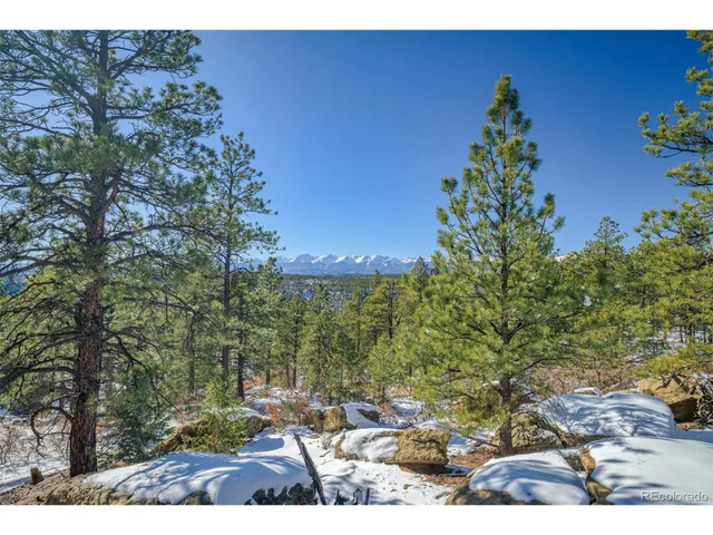 a view of outdoor space and garden