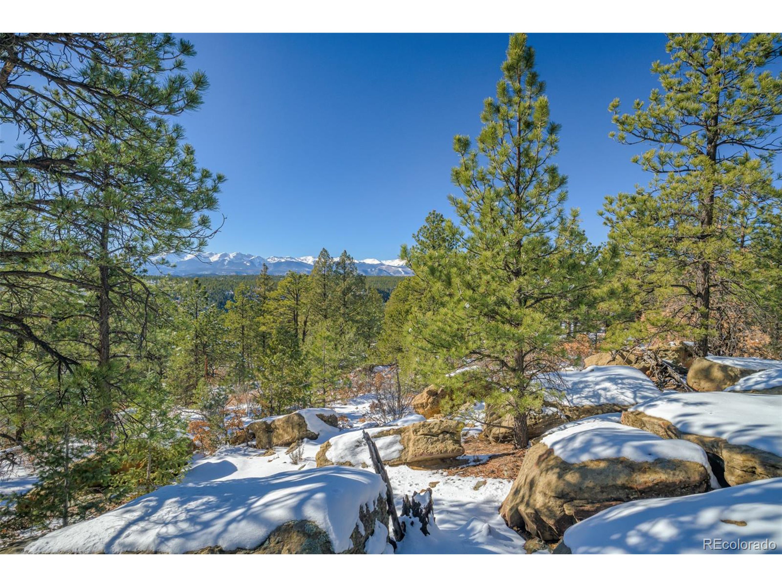 Escondido Road Weston, CO 81091 - Photo 8 of 48 a view of a yard