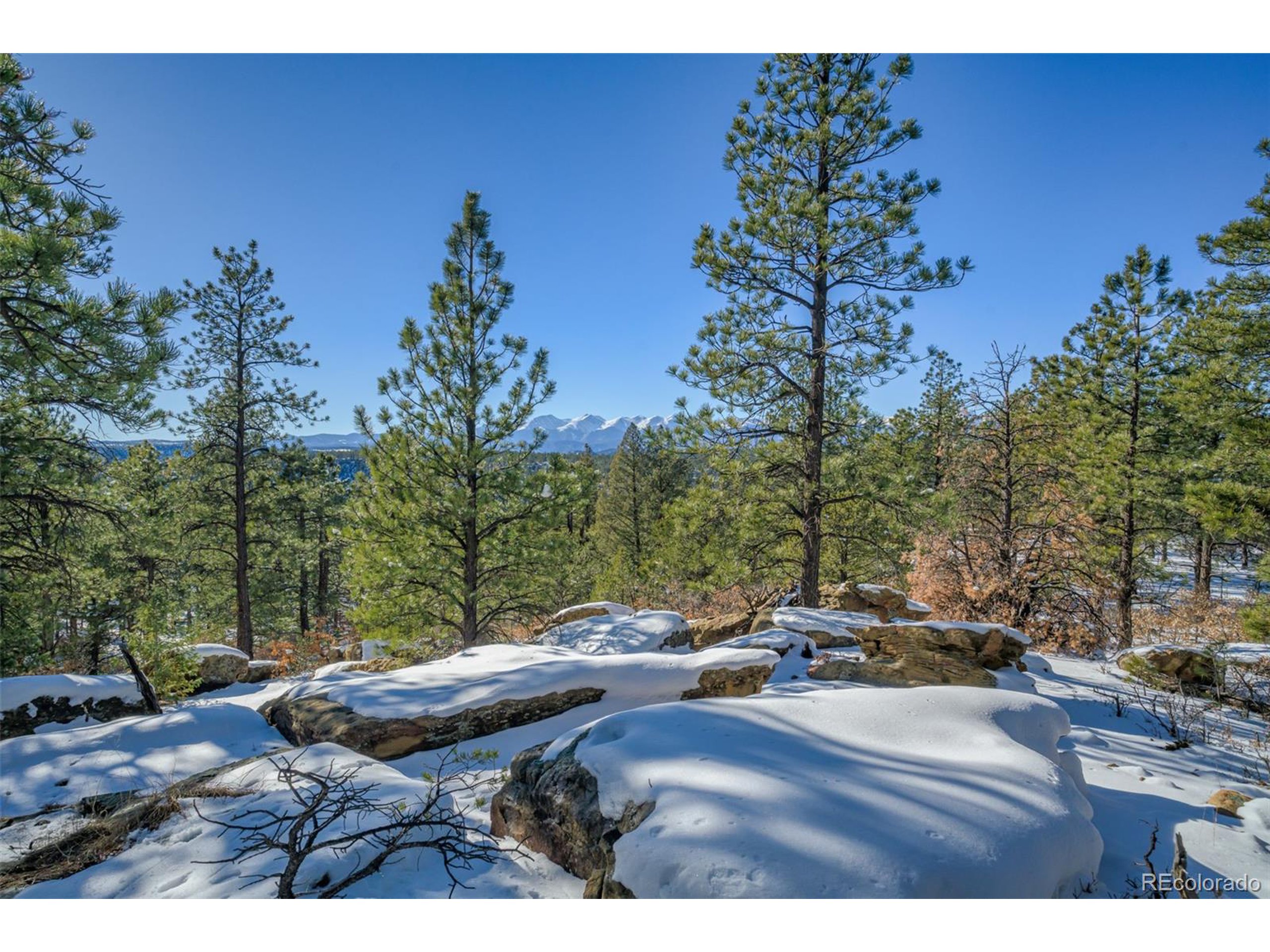 Escondido Road Weston, CO 81091 - Photo 10 of 48 a view of a backyard