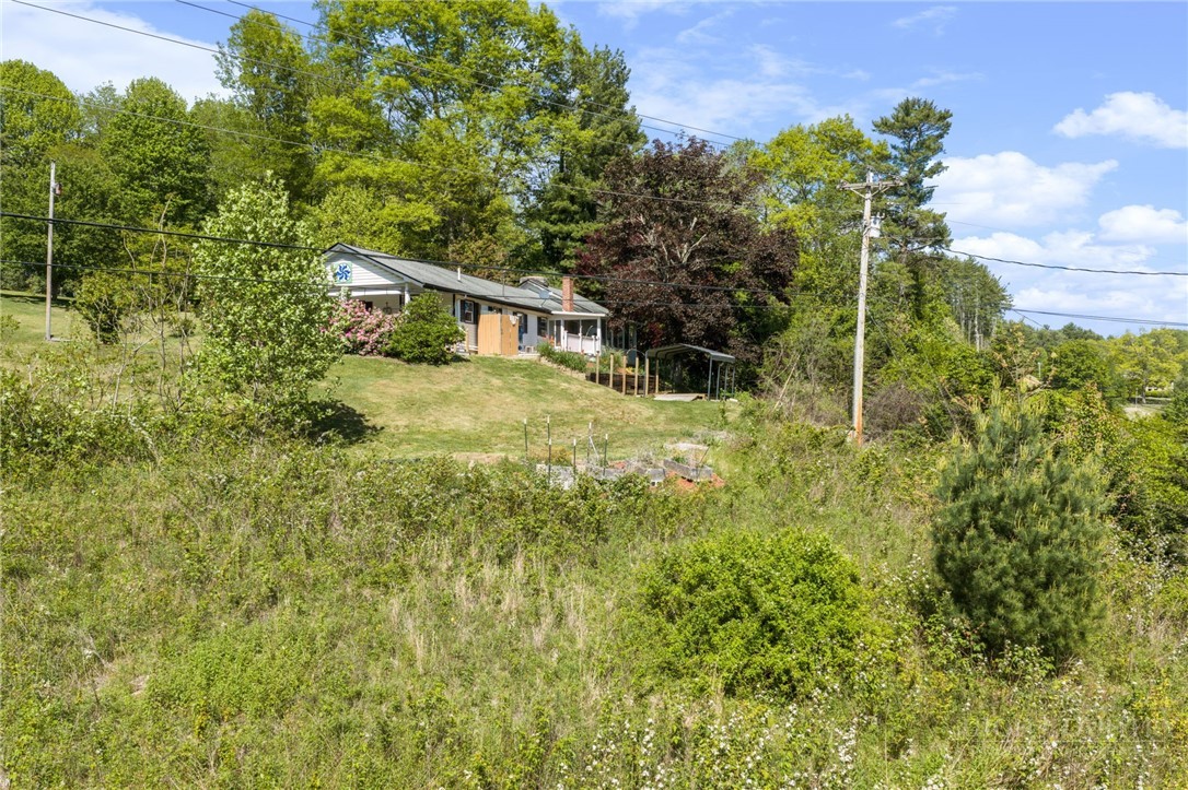 190 Benfield Road Crossnore, NC 28657 - Photo 5 of 50